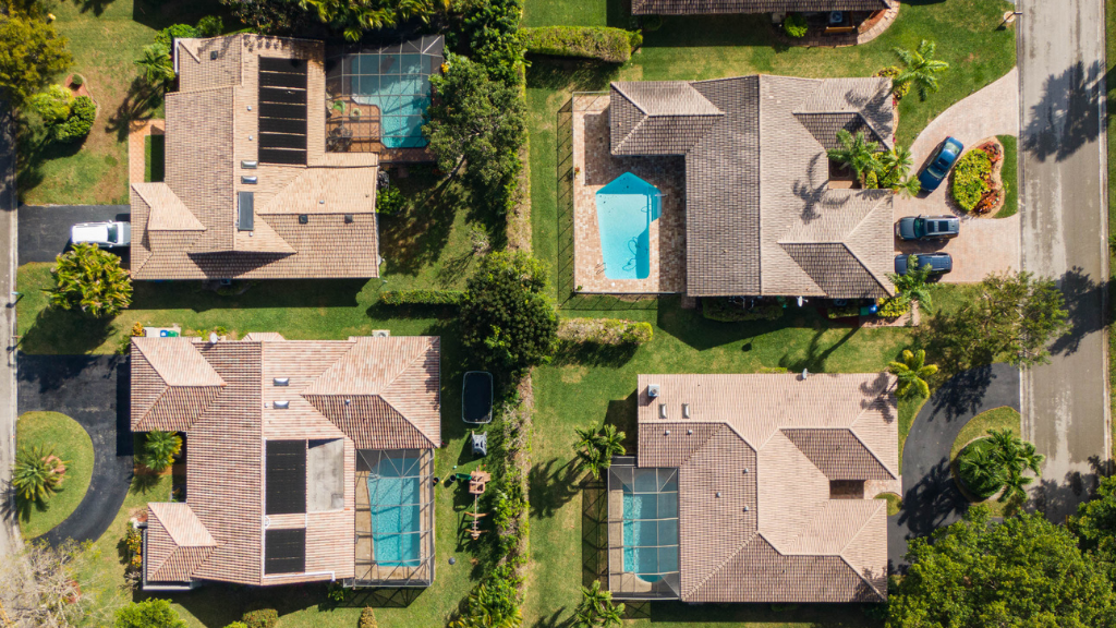 Tree Preservation South Florida