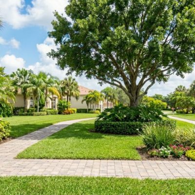 tree removal permits